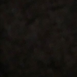 Meet your Posher, Rachelle